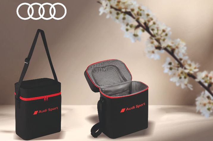 oferta-lunii-august-audi