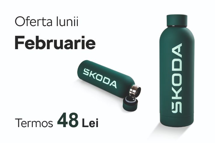 Oferta Lunii Februarie Skoda